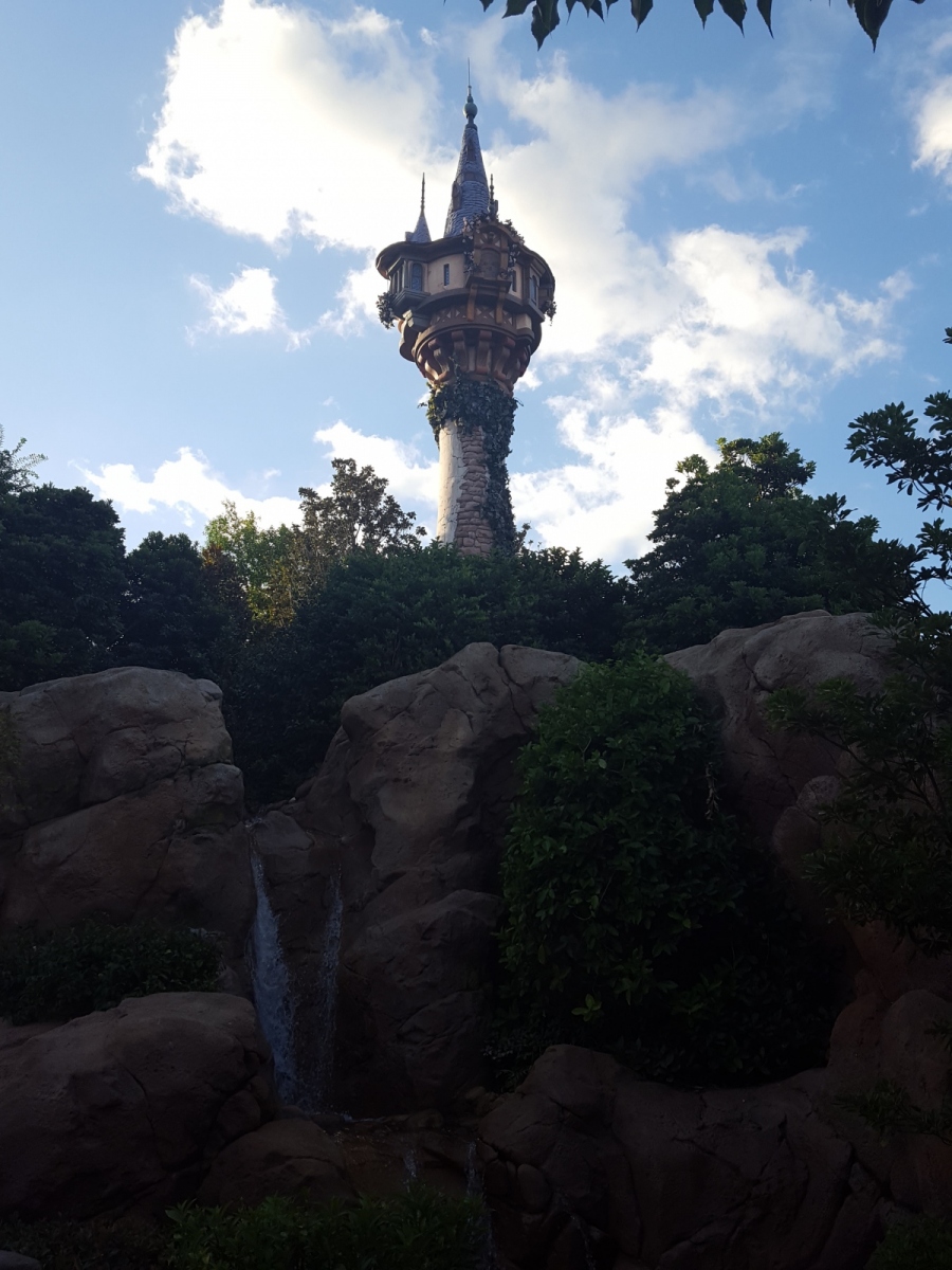Rapunzel's tower
