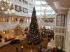 Disney's Grand Floridian Resort