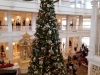 Disney's Grand Floridian Resort