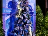 Frozen