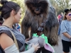 Rey and Chewbacca at Galaxy's Edge Hollywood Studios